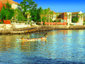 SENEGAL
