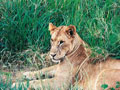 KENYA