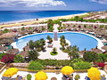 CANARIES