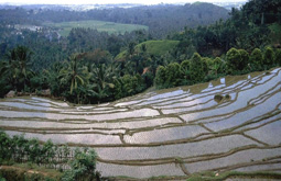 Kuta