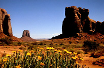�TATS-UNIS