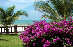 Kuta