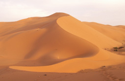 Circuit �mirats Arabes Unis