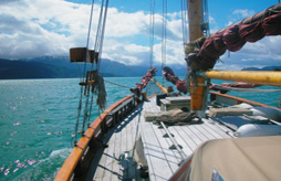 Croisi�re Caraibes